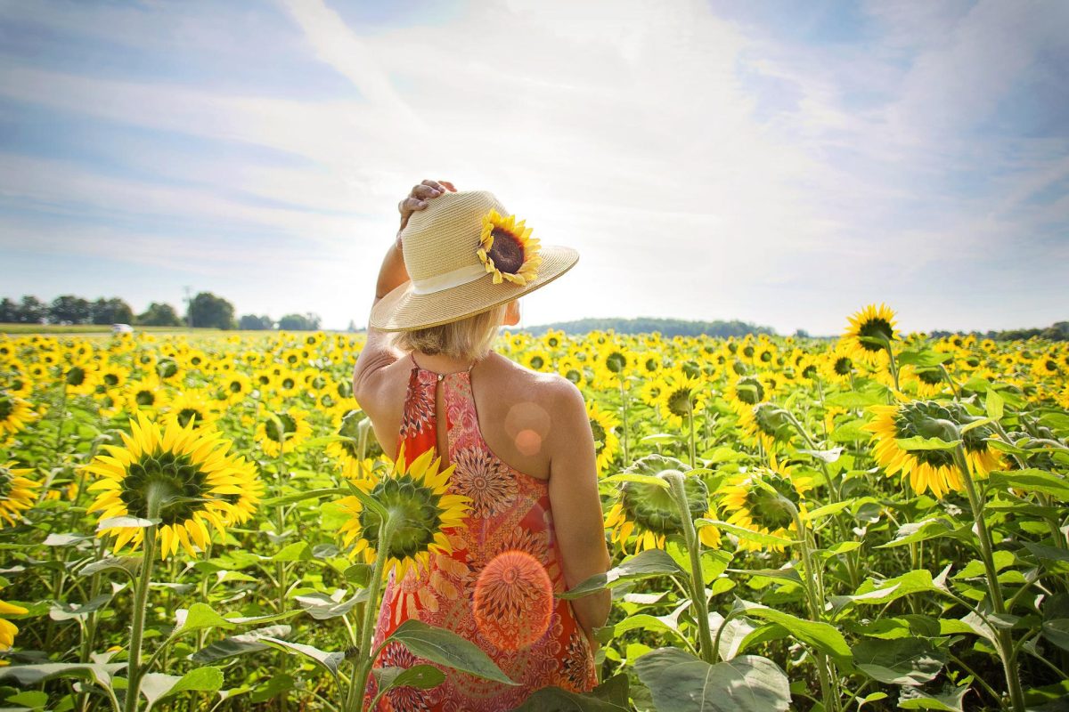 Woman in a sunflower field